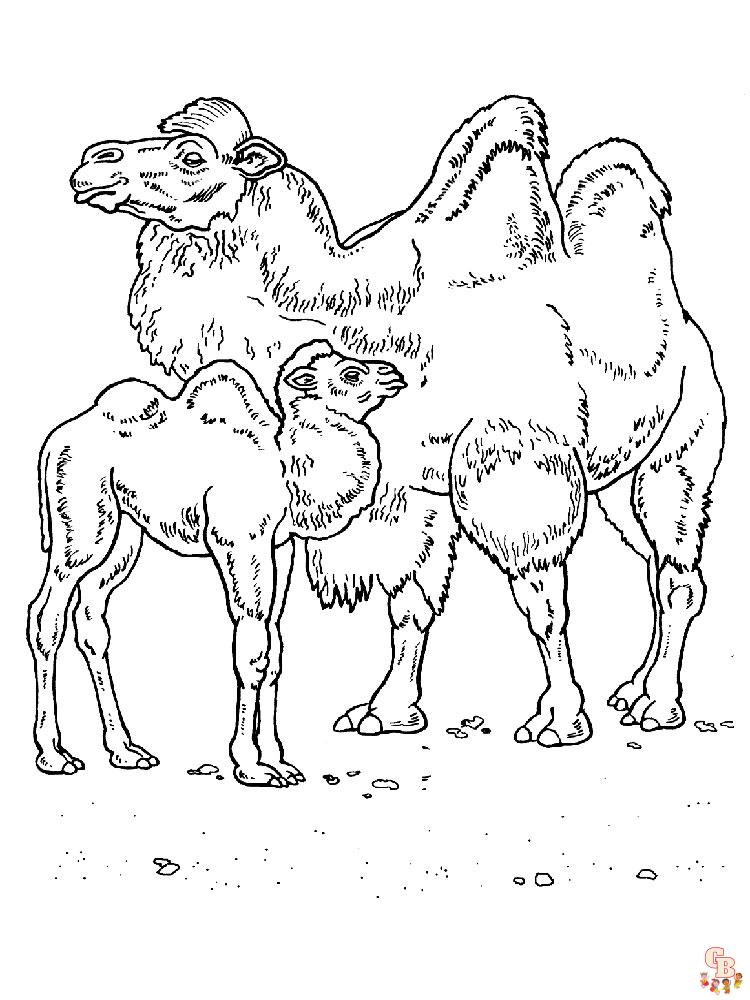 kameel kleurplaten 13