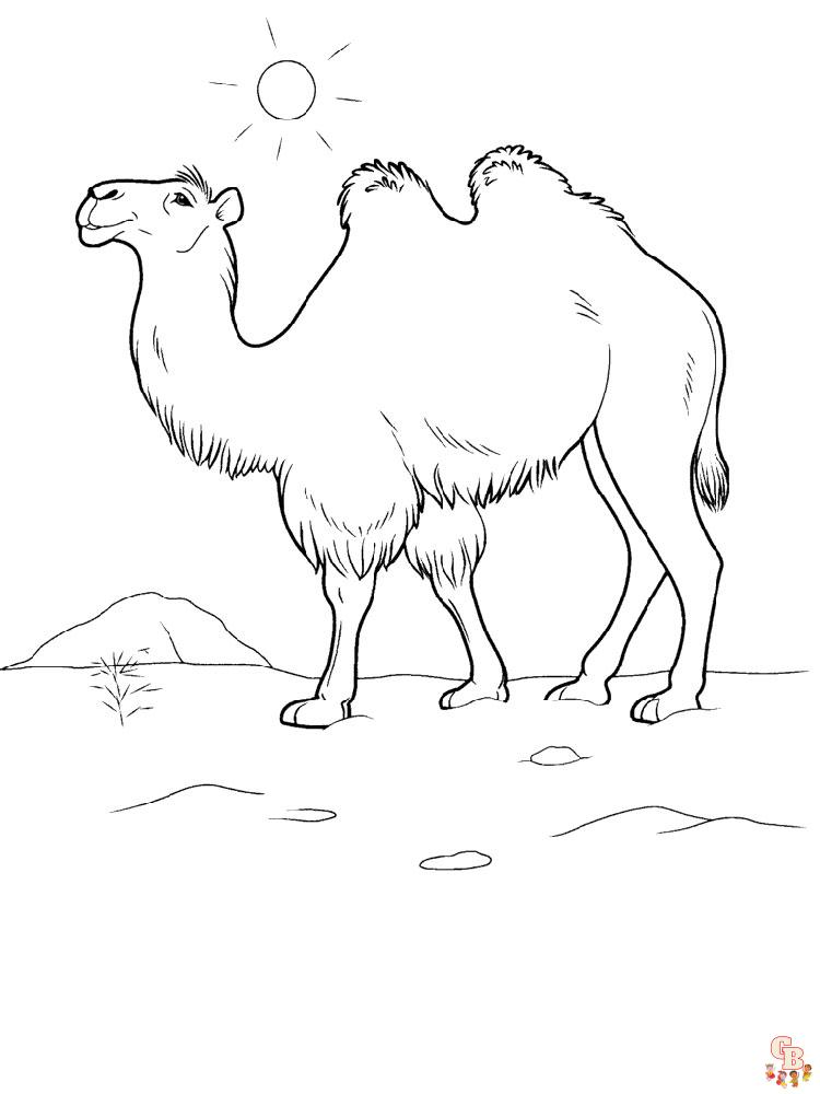 kameel kleurplaten 14