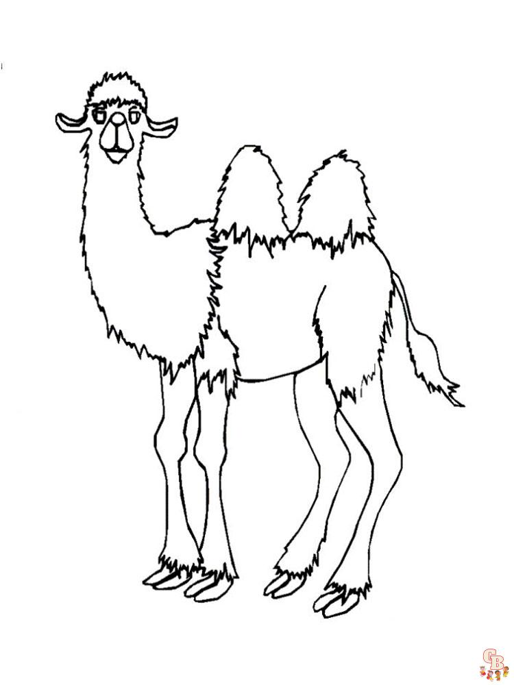 kameel kleurplaten 15