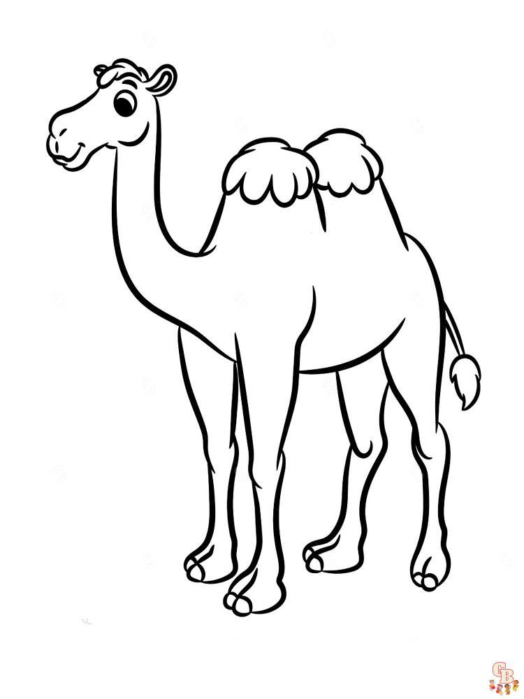 kameel kleurplaten 27
