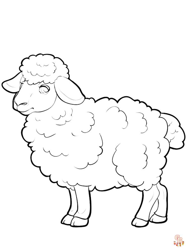 schapen kleurplaten 27