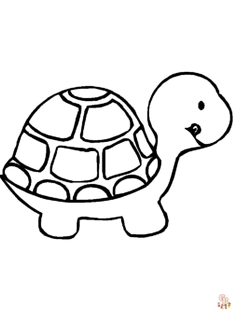 Kleurplaten met schildpad voor kinderen 10
