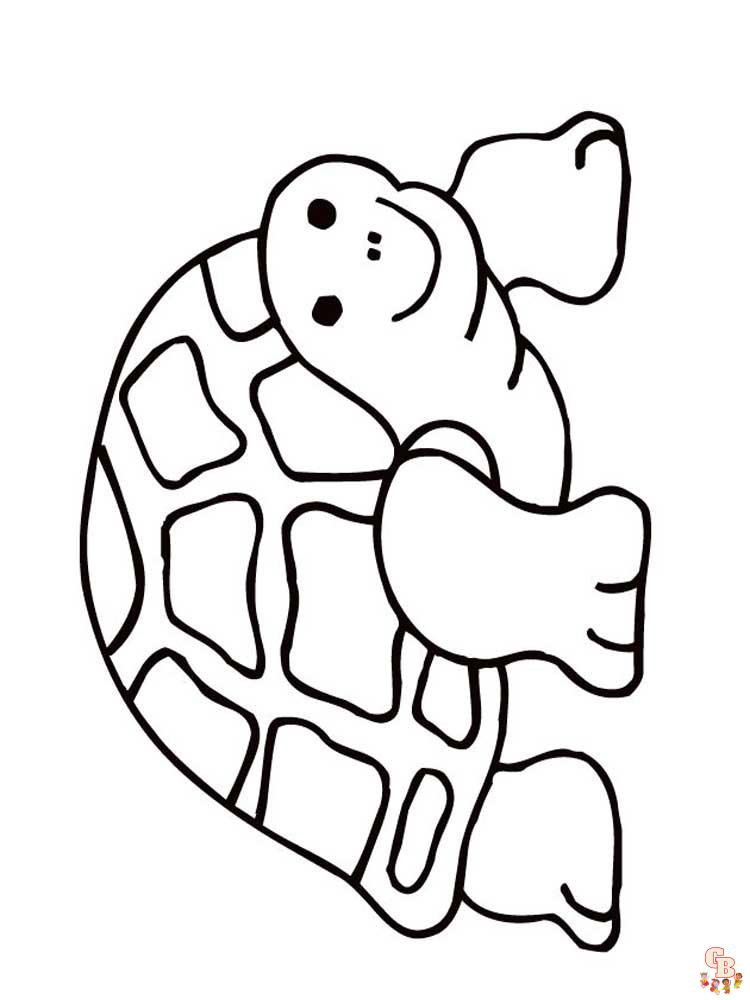 schildpad kleurplaten 12
