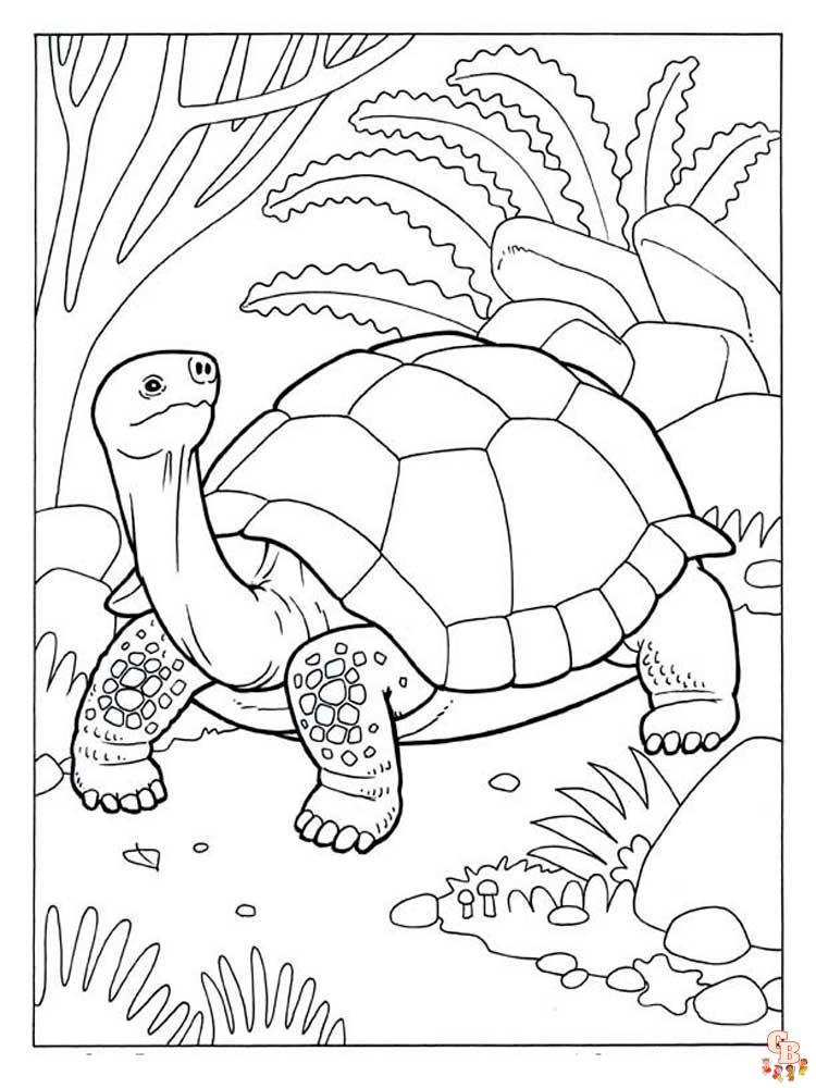 schildpad kleurplaten 13