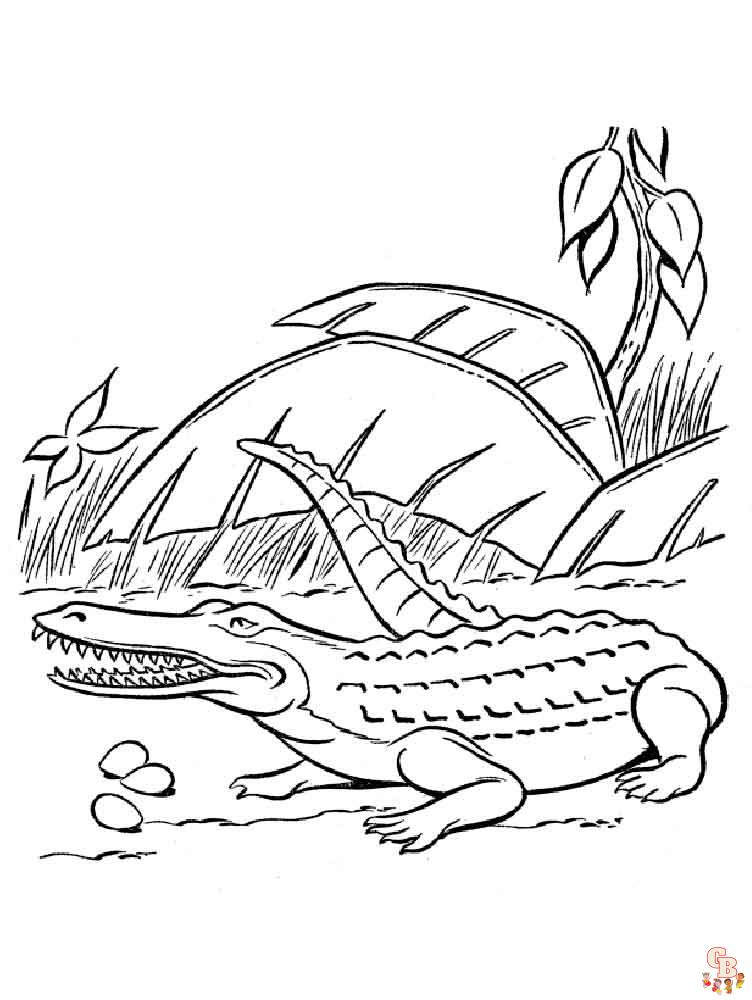Crocodile Kleurplaat 6
