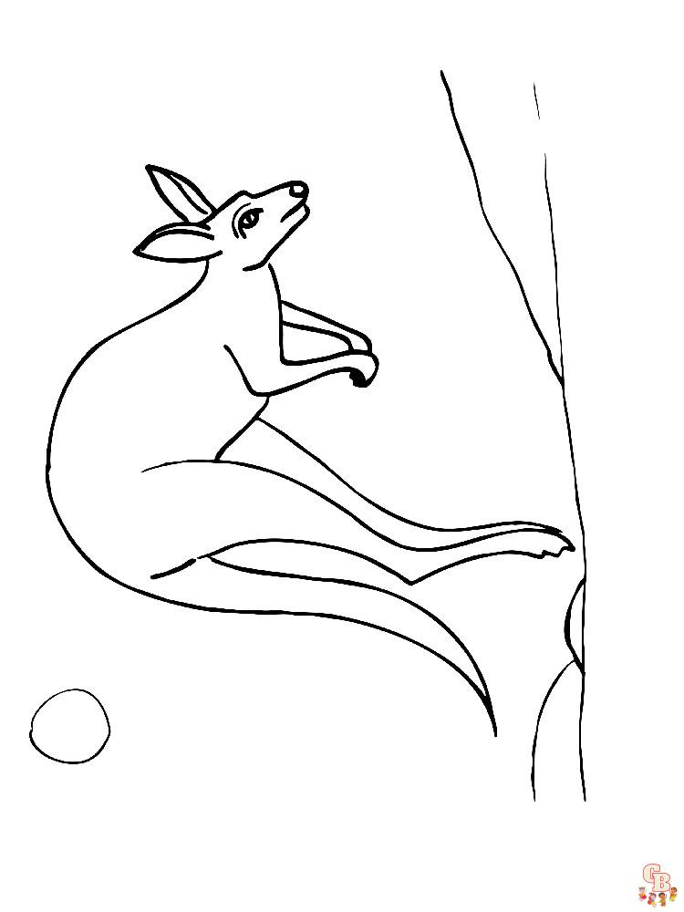 Kangoeroe Kleurplaat 3