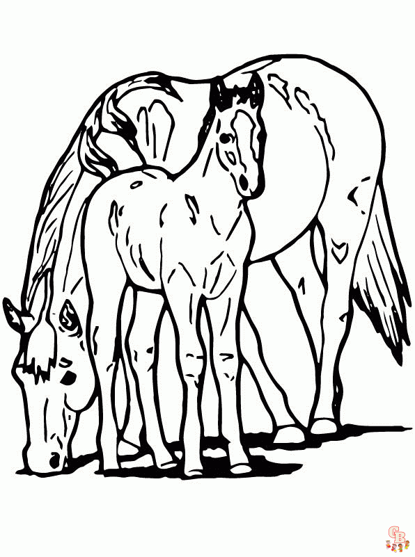 Paard met Veulen Kleurplaat 2