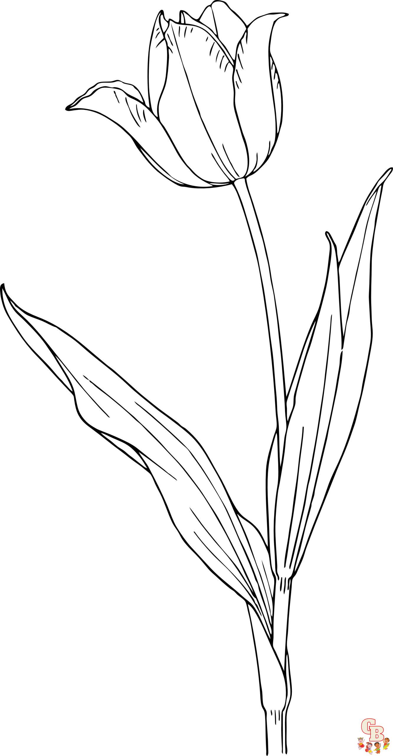 Tulpen Kleurplaat 17 1