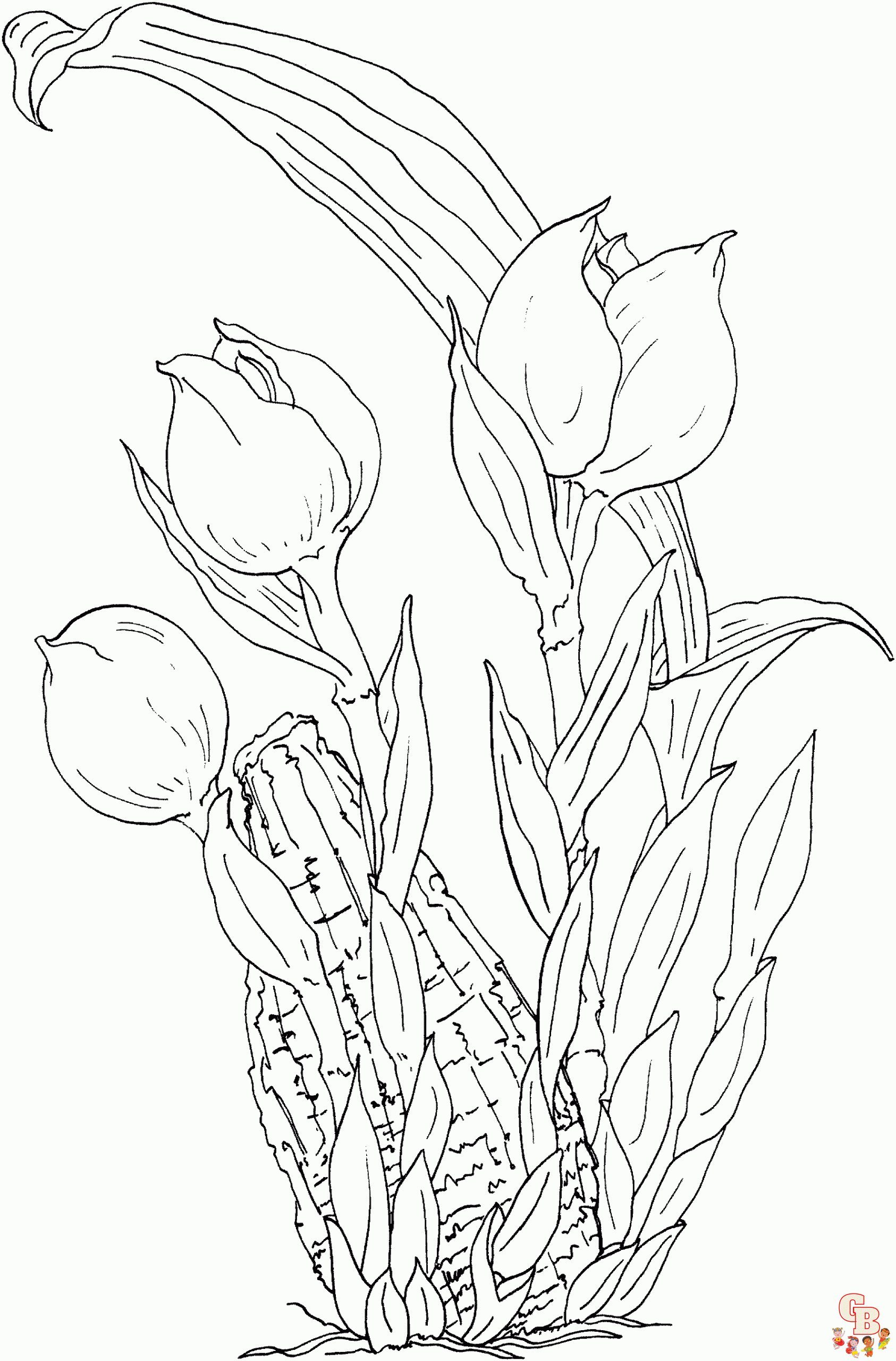 Tulpen Kleurplaat 4 1