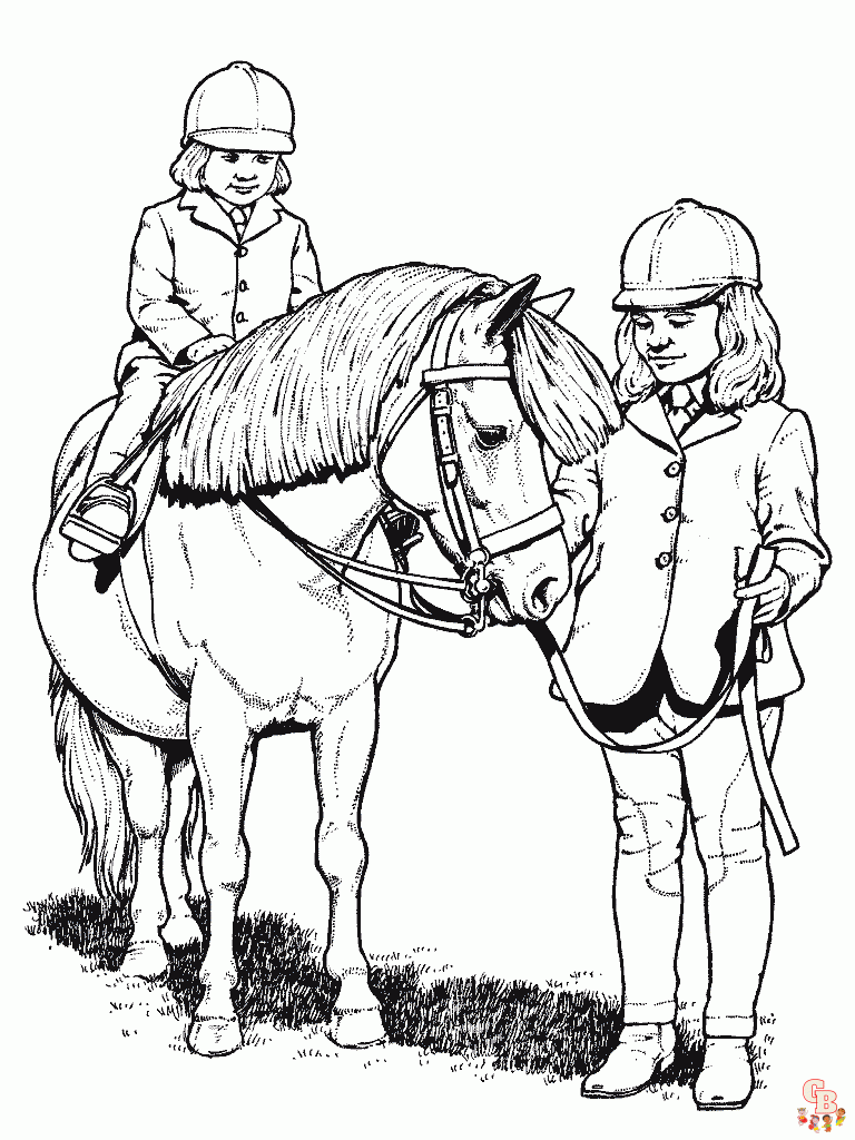 paarden fjord 2