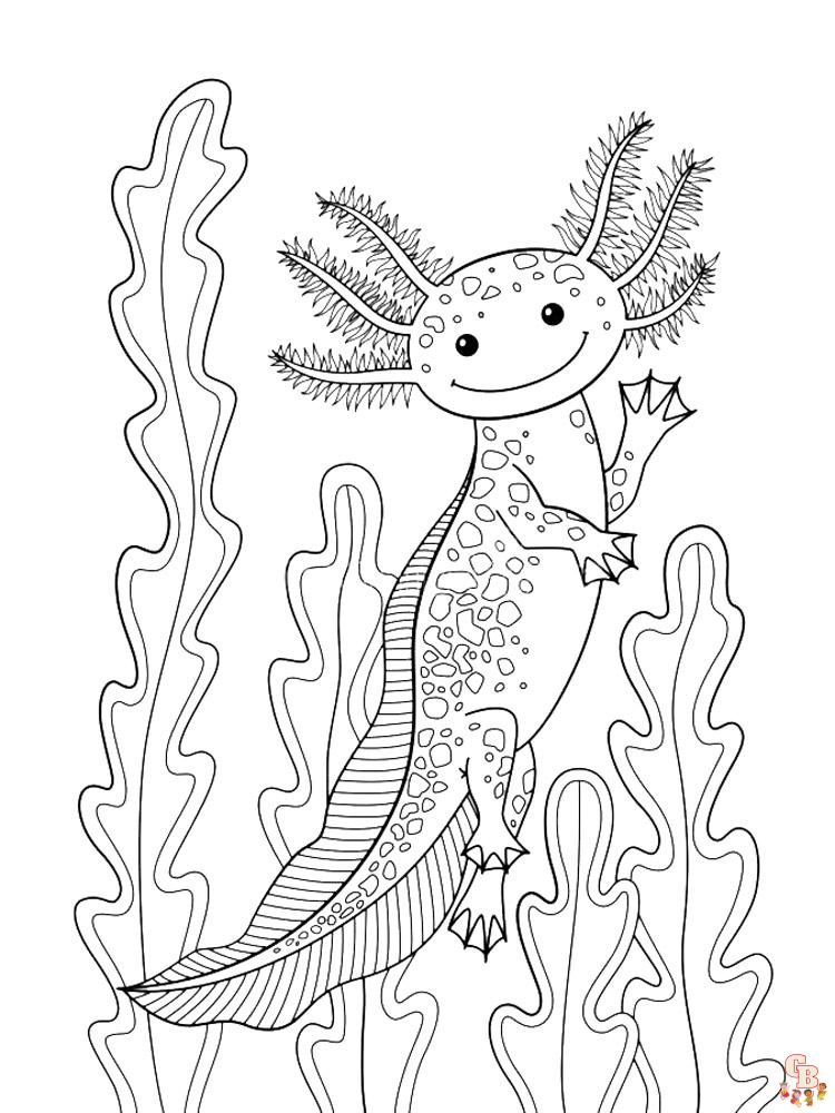 Axolotl kleurplaat 26