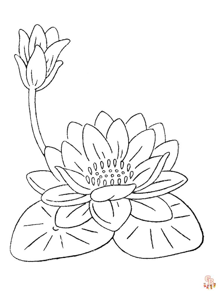 Lotus Coloring Pages 1