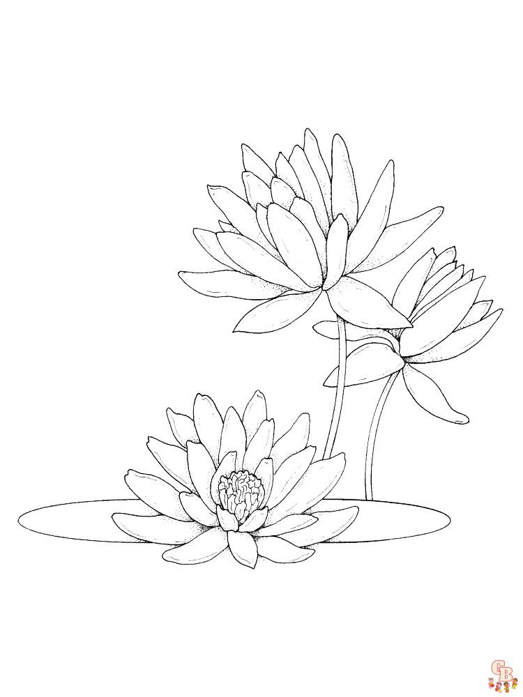 Lotus Coloring Pages 10