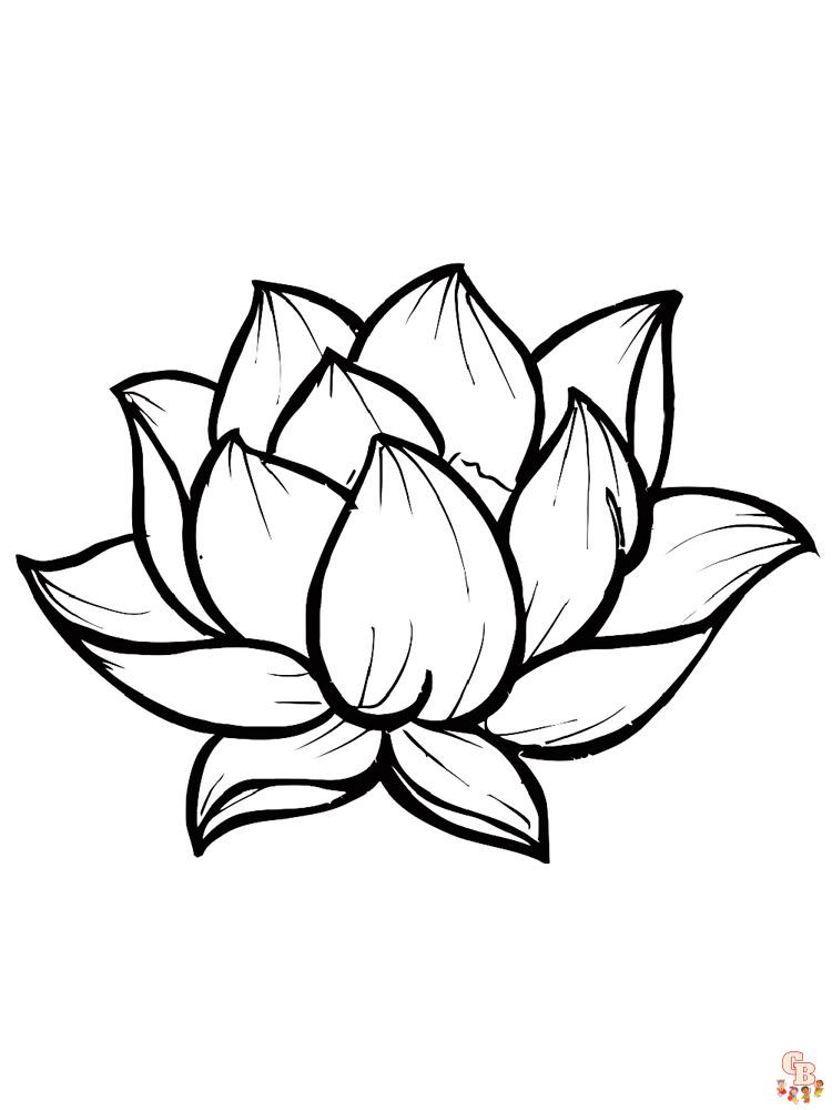 Lotus Coloring Pages 11