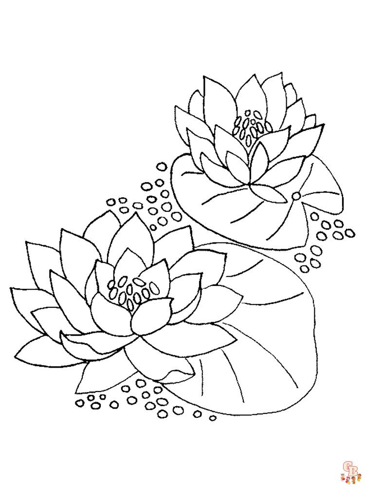 Lotus Coloring Pages 14