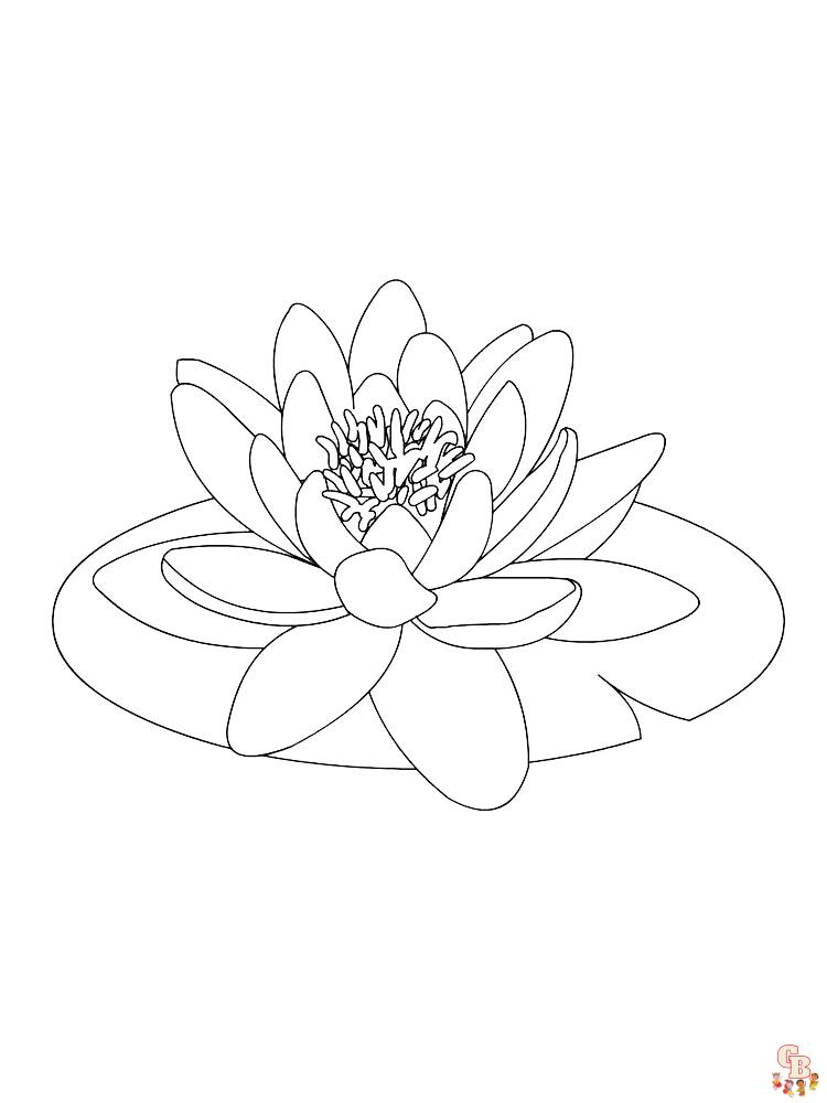 Lotus Coloring Pages 16