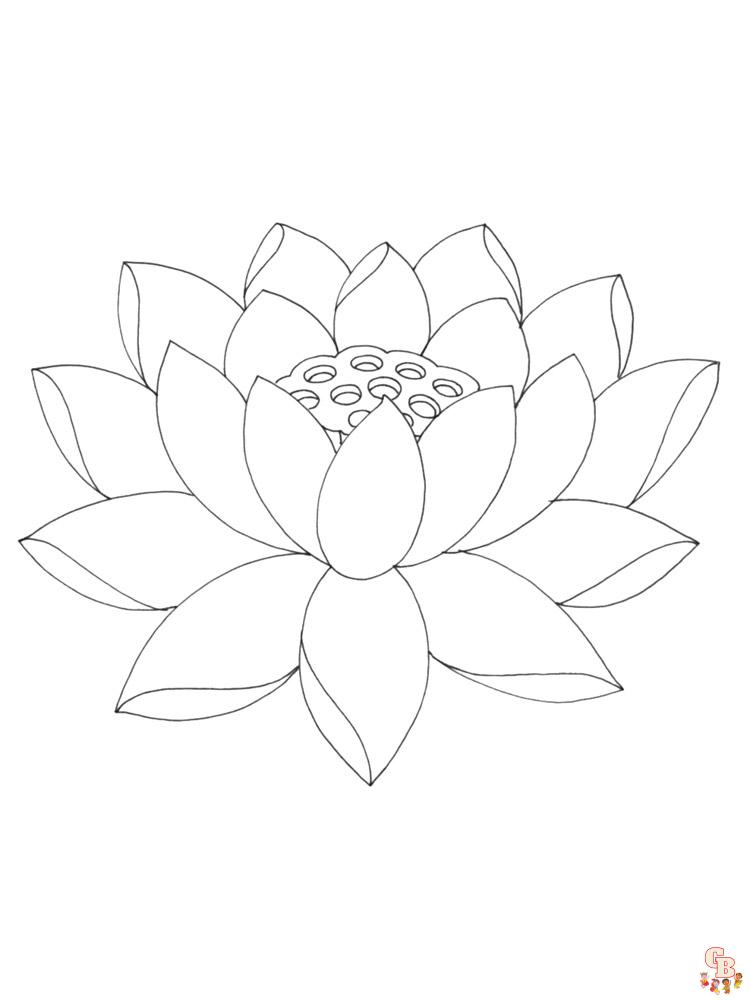 Lotus Coloring Pages 17