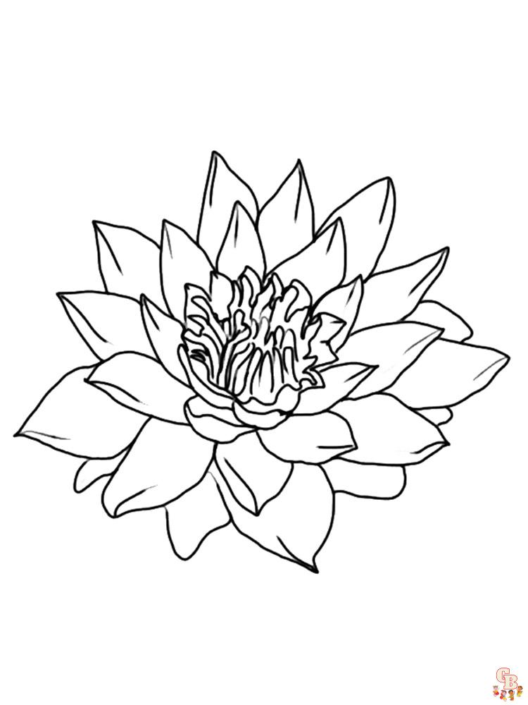 Lotus Coloring Pages 20