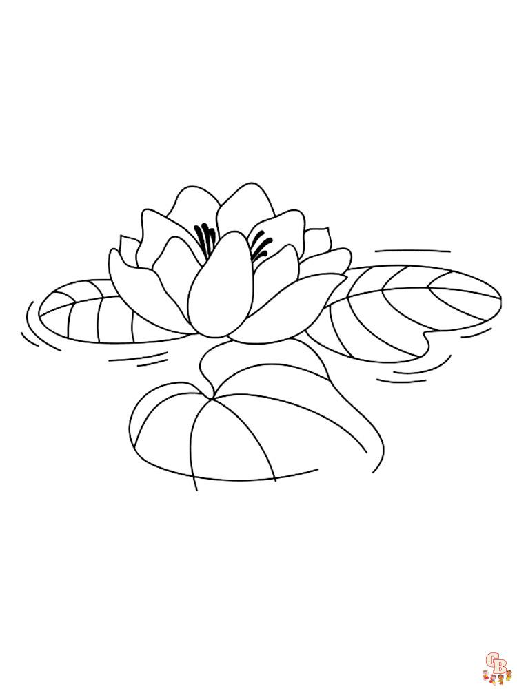 Lotus Coloring Pages 22