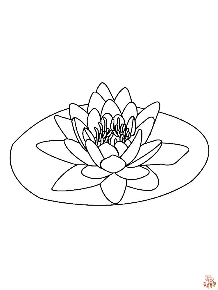 Lotus Coloring Pages 23