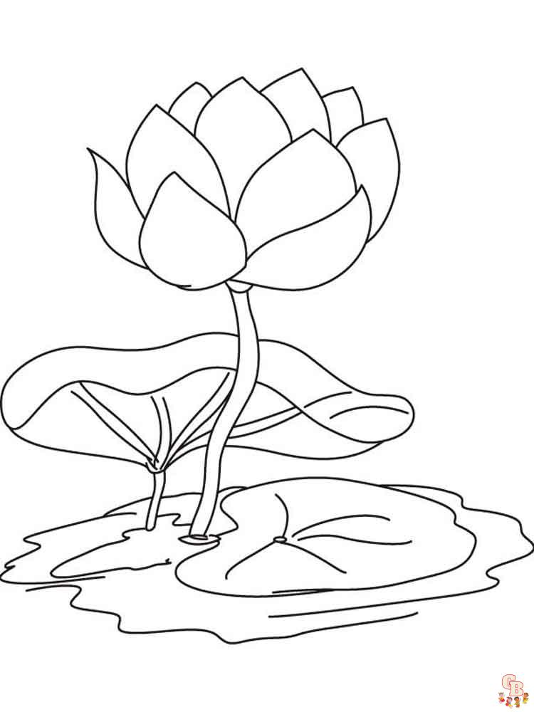Lotus Coloring Pages 26