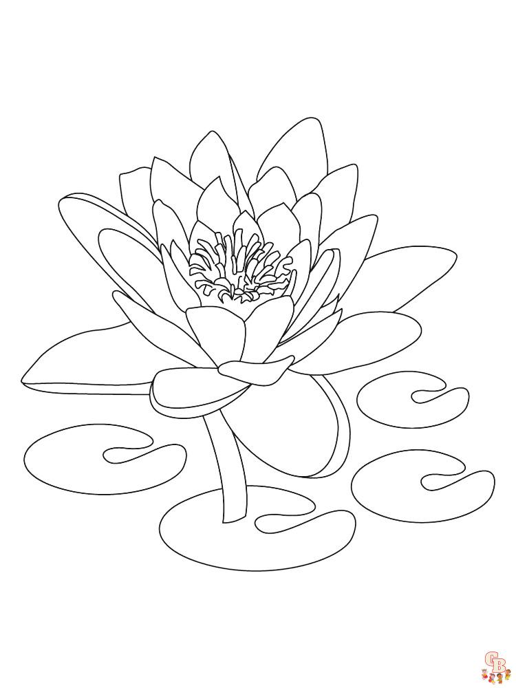 Lotus Coloring Pages 8