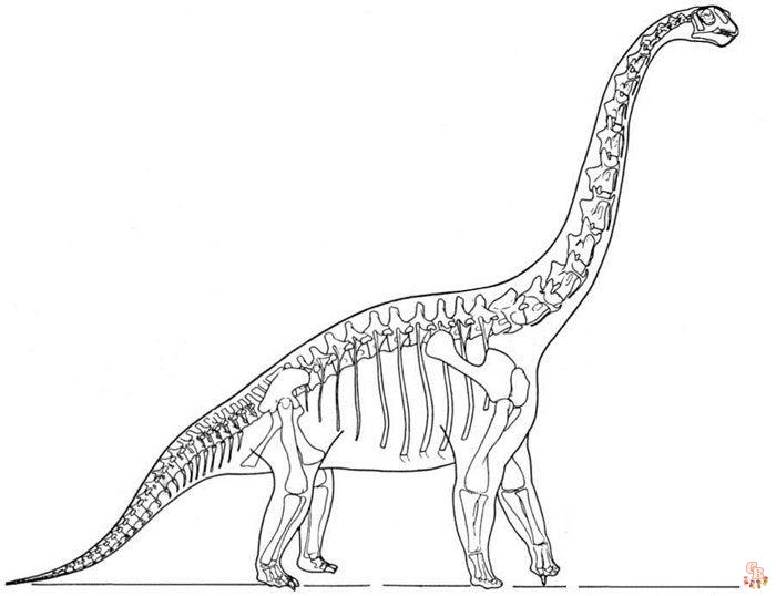 brachiosaurus 3