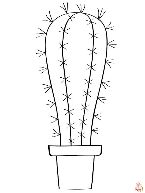 grote cactus