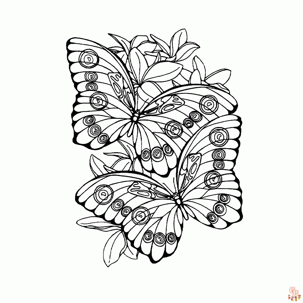vlinder volwassenen 2