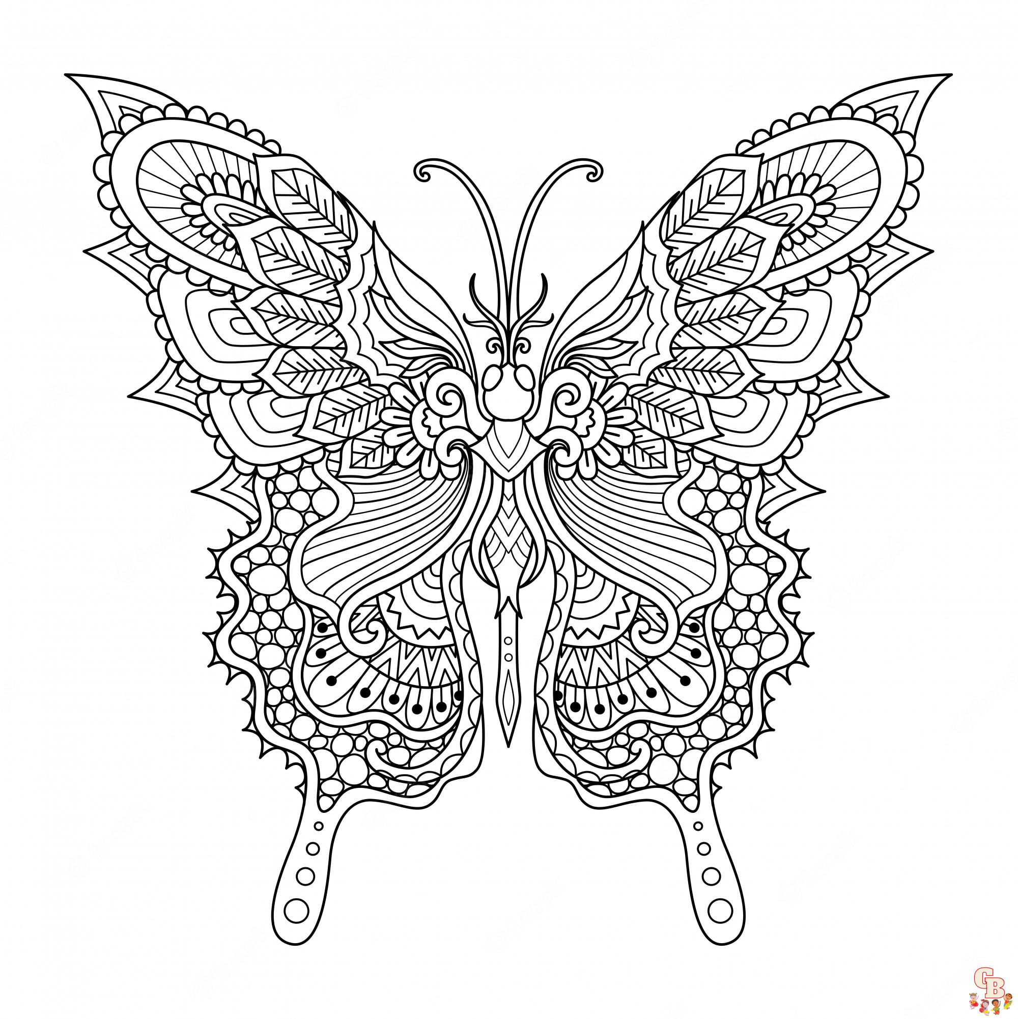 vlinder volwassenen 5