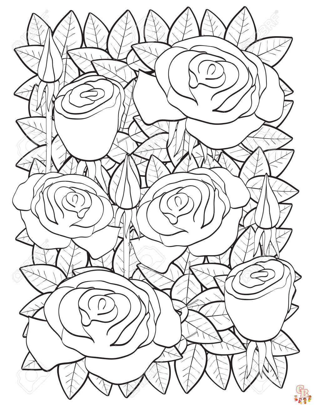 149895501 roses coloring page vector illustration