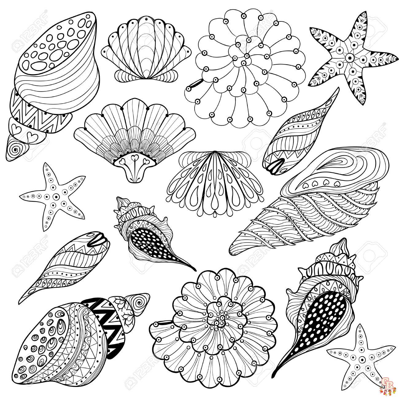 56723463 vector set shells zentangle seashells for adult anti stress coloring pages patterned sea shell