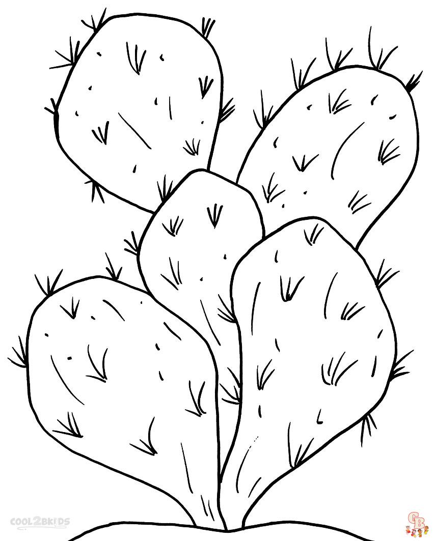 Cactus Kleurplaat
