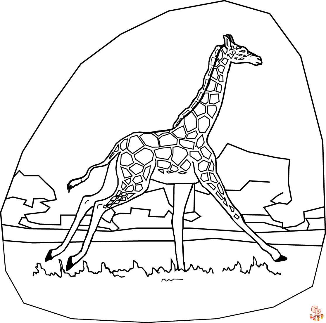 Giraffe 41