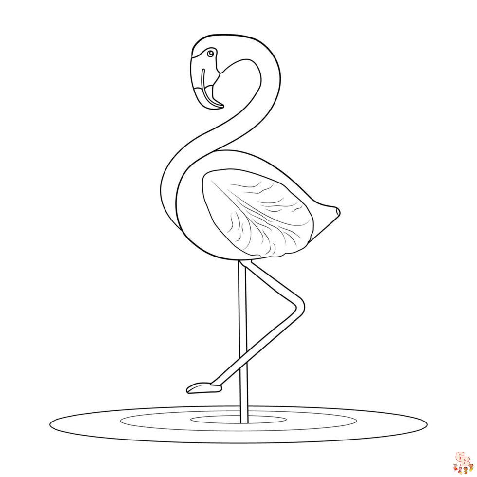 flamingo 64deddcbabd1d