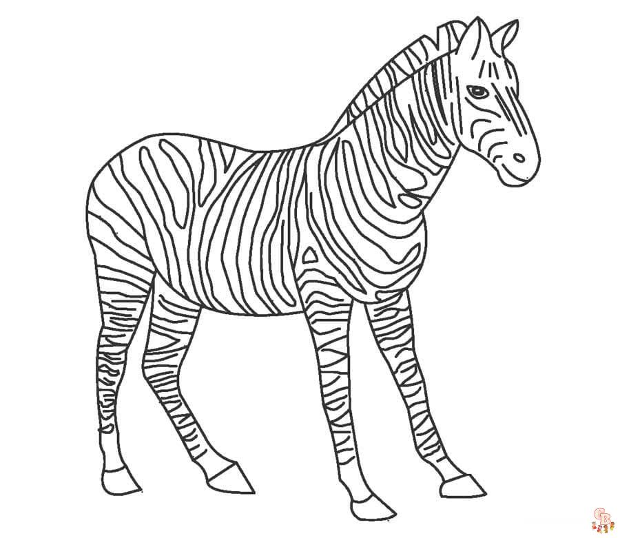 gratis zebra overzicht kleurplaat