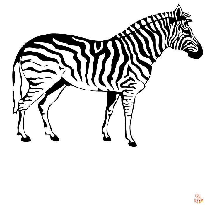 kleurplaat zebra 6