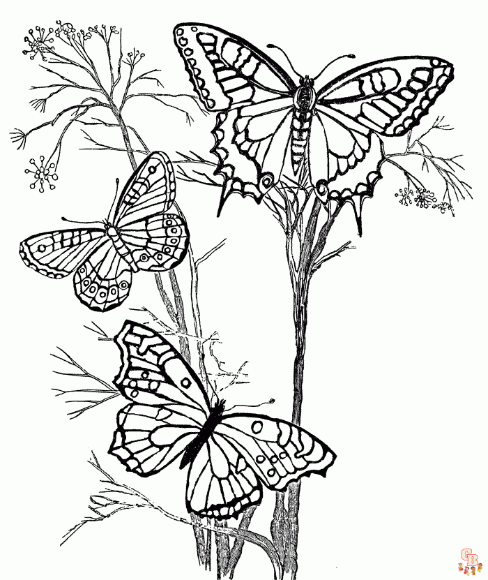 kleurplaten van vlinders en bloemen 1