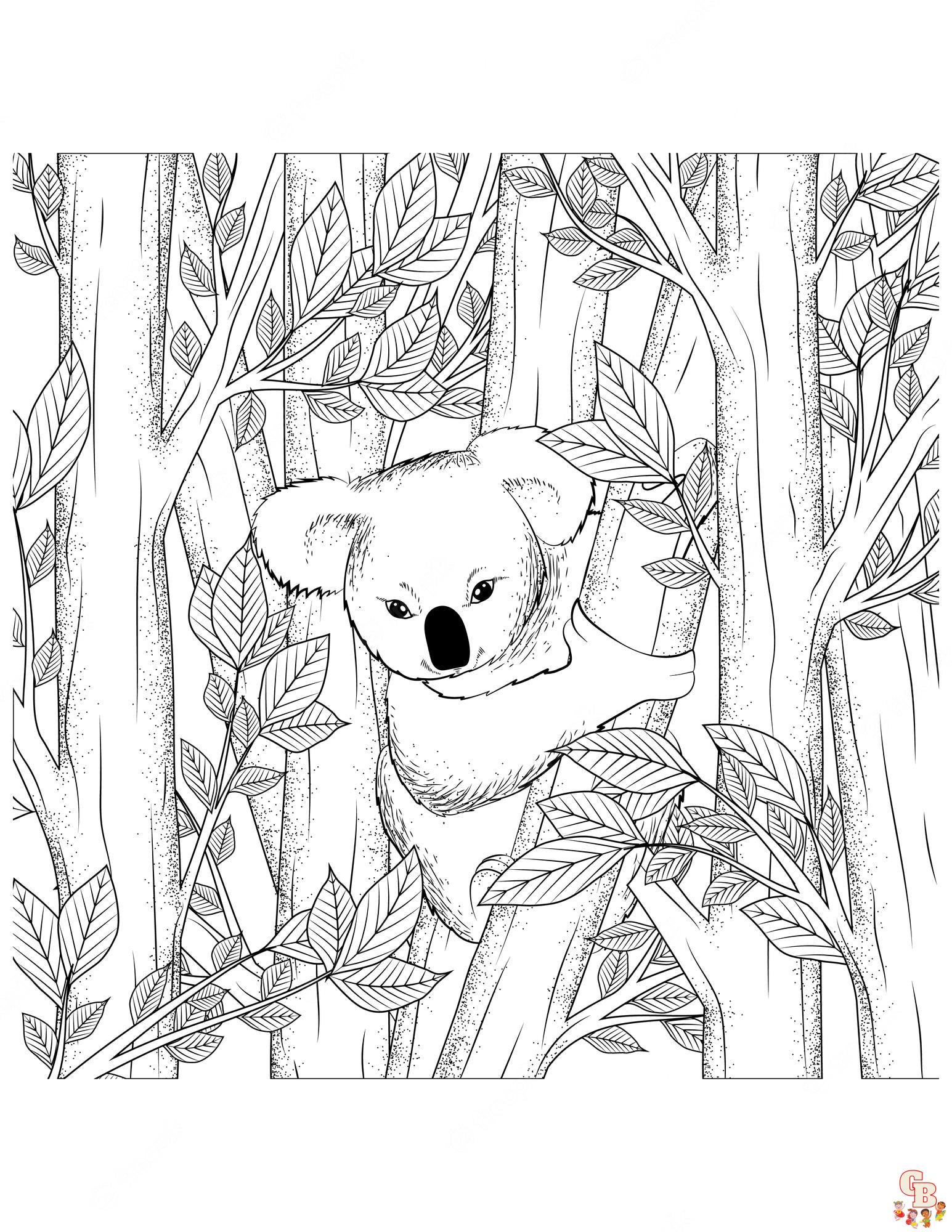 Kleurplaat koala 6 leuke en makkelijke opties voor kinderen
