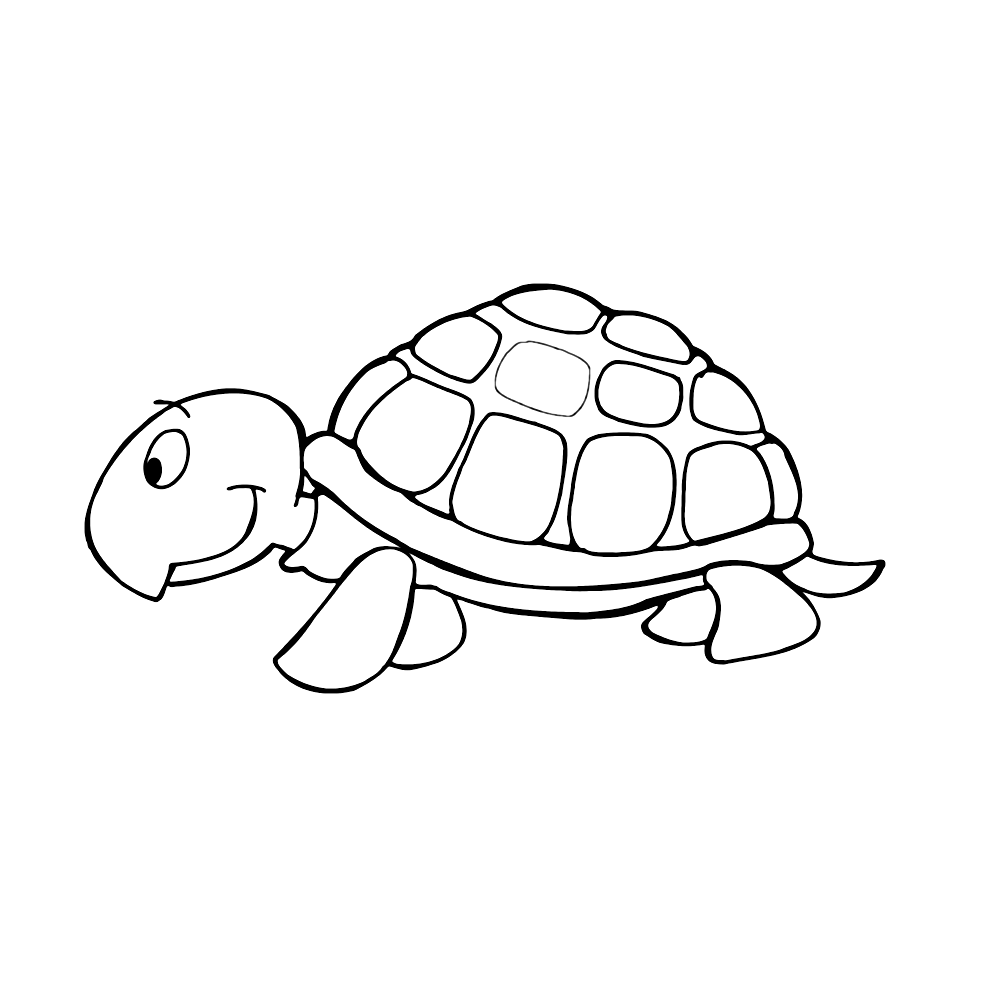 schildpadden 0001