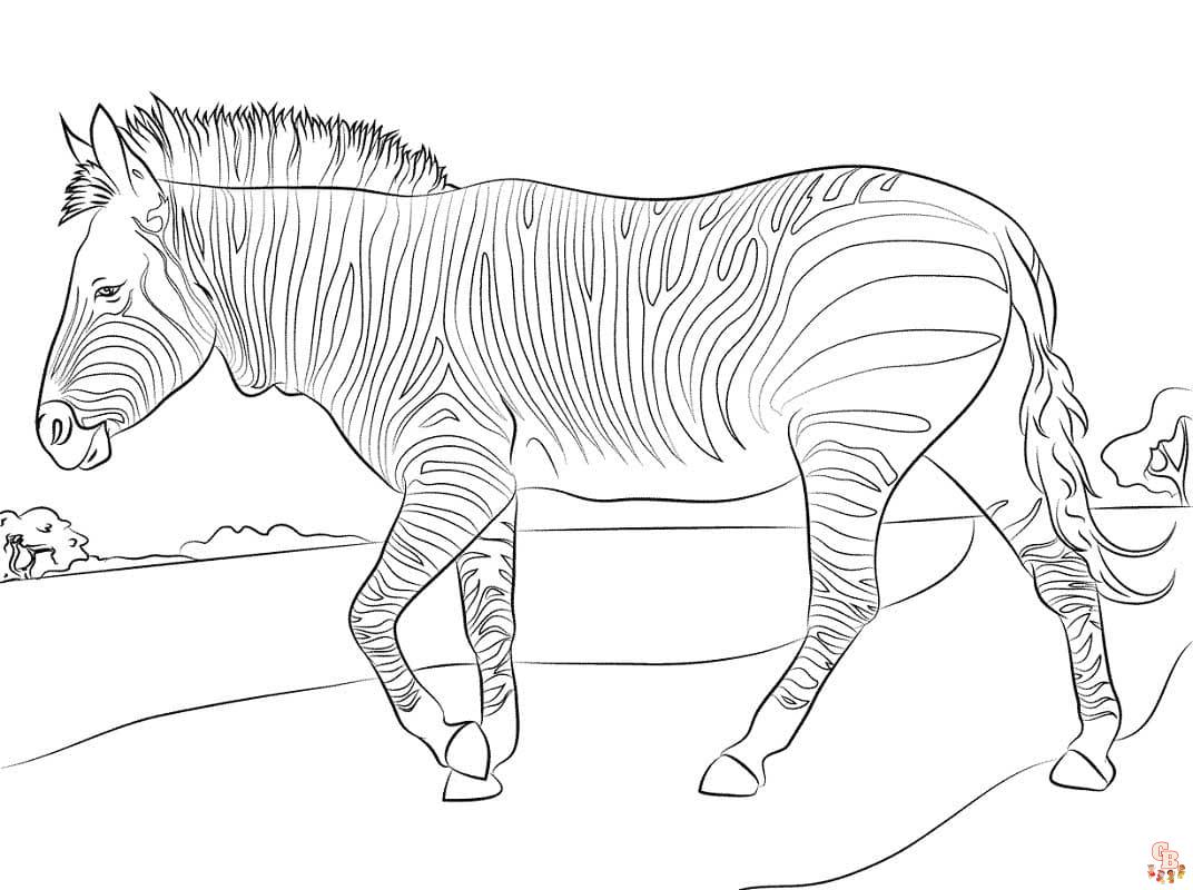 zebra afbeelding kleurplaat