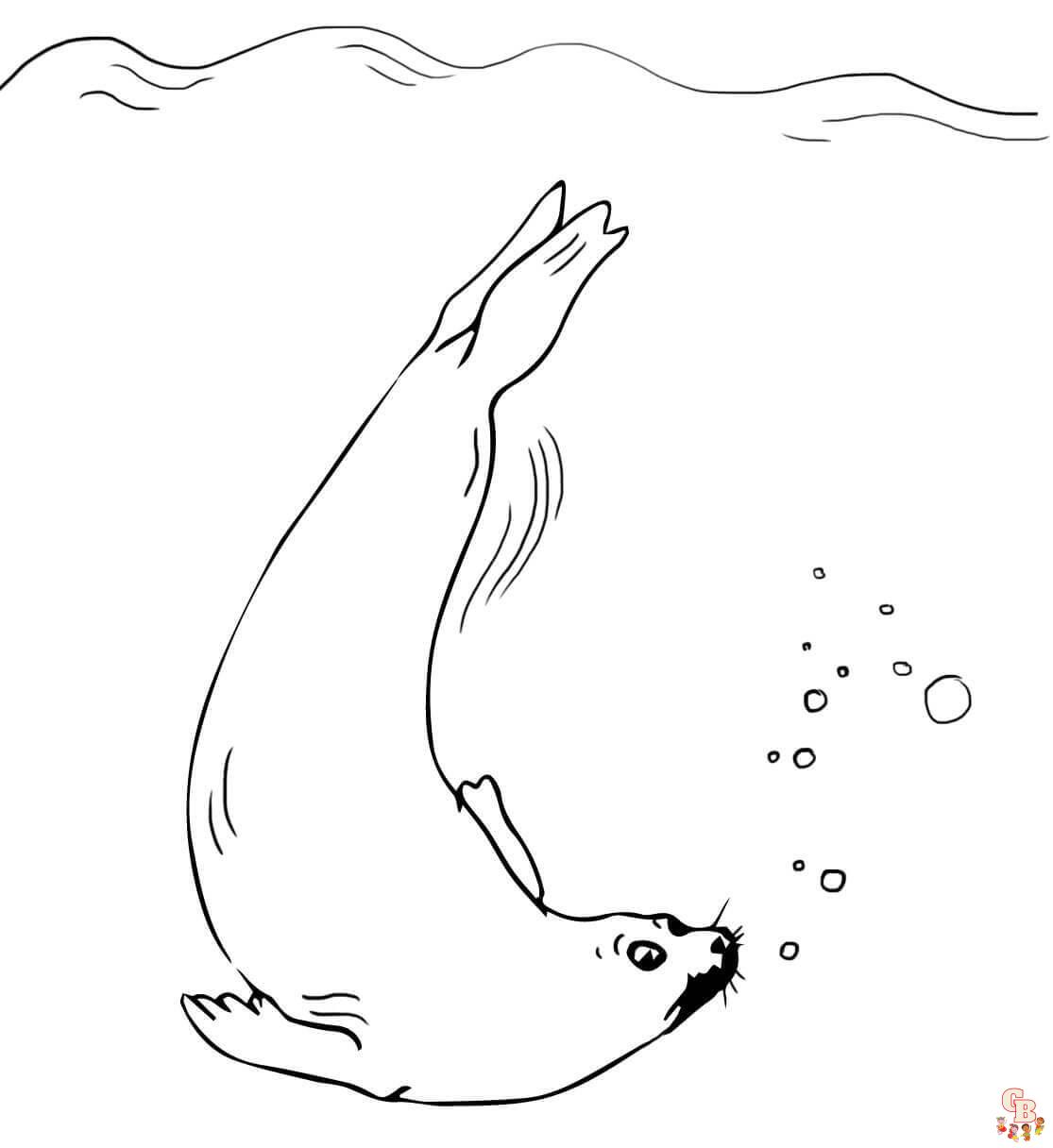 zeehonden kleurplaat016