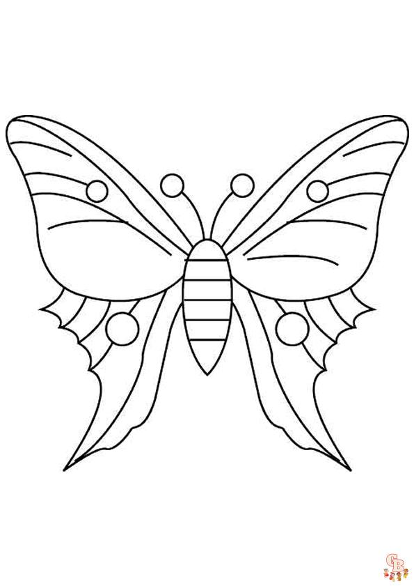 Vlinder Volwassenen Kleurplaat 3